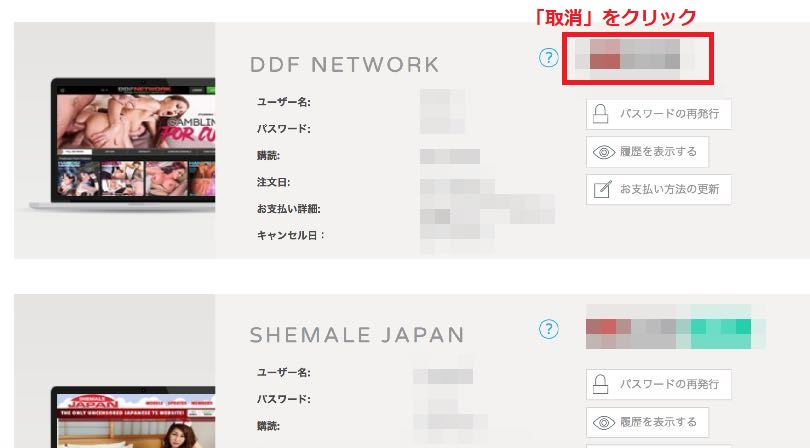transexjapan.comの感想とレビュー　入会方法と退会・解約方法も解説！